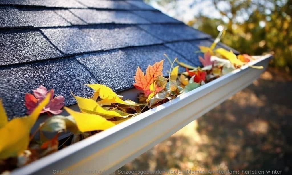 Seizoensgebonden rioolproblemen Amsterdam: herfst en winter
